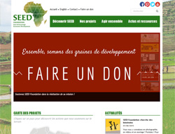 SEED Foundation (2015-2018)